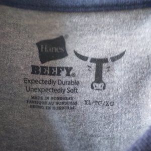 Hanes, Men's, Beefy, XL, LS, Henley, T Shirt